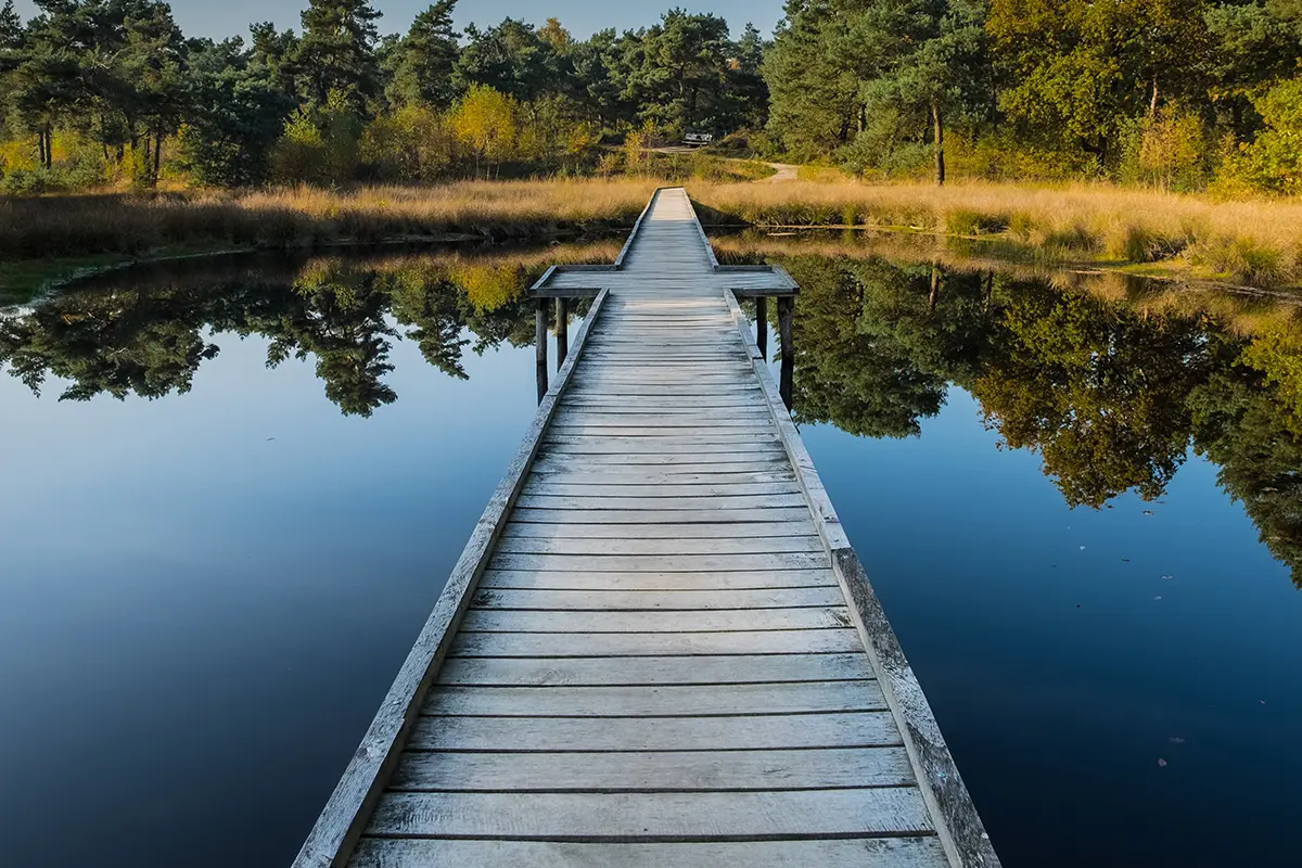 Ein Steg am See